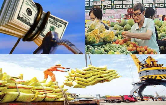 Tăng thuế môi trường xăng dầu: Doanh nghiệp rơi vào cảnh “một cổ hai tròng”